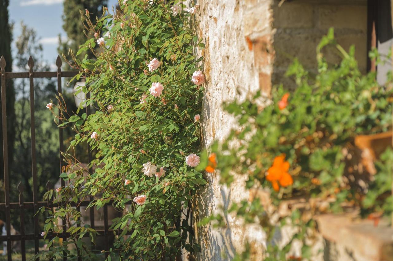 Cretaiole Bauernhof Pienza