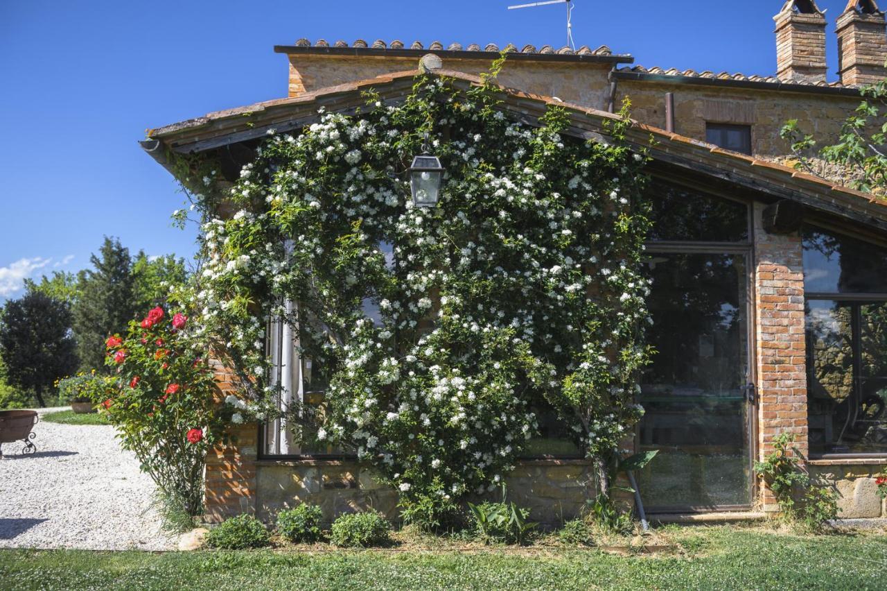 Cretaiole * Pienza